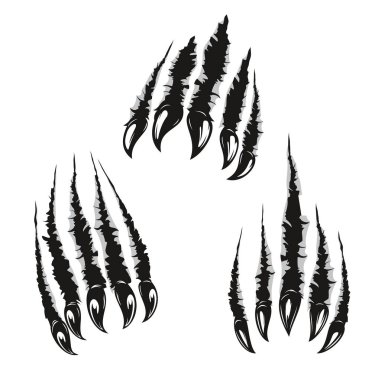 Kızgın ayı pençesi izleri ve vahşi hayvan pençelerinin çizikleri saldırıyor. Vector Bear canavar / iz ya da boz canavar korkunç tırnaklar, pençeler ve beyaz arka planda yırtık delikler