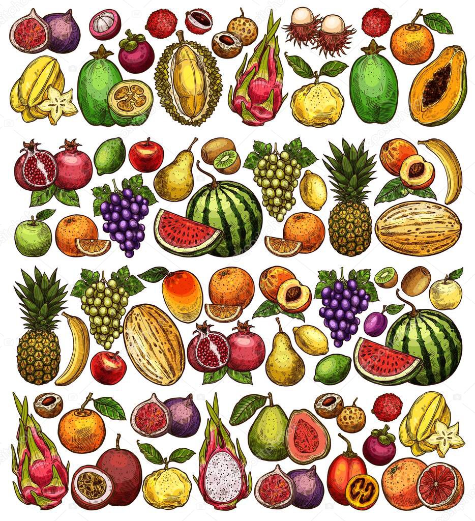 Farm and garden fruits sketch background, vector hand drawn food. Sketch apple, pineapple and orange, tropical papaya, exotic banana, mango and pear, peach with watermelon, grape and melon harvest