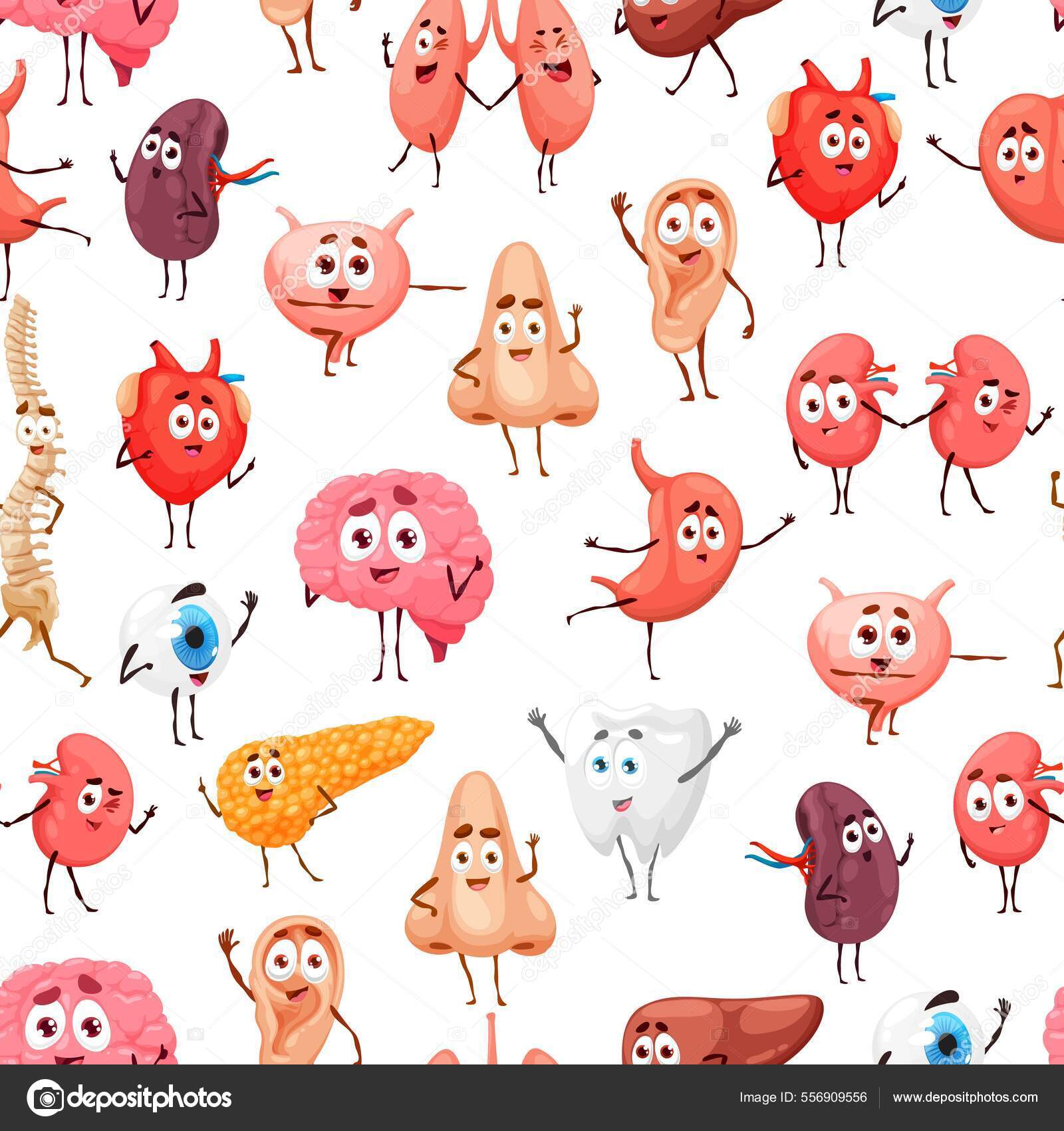 Tegneserier Med Menneskelige Indre Organer Sømløse Mønstre Kroppens Anatomi  Vektorbakgrunn stockvektor © Seamartini #556909556, image size:1600x1700