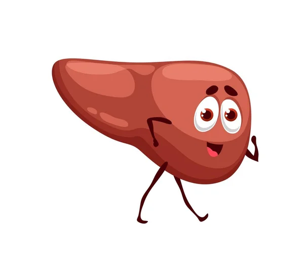 Humano Engraçado Personagem Fígado Cartoon Vetor Saudável Órgão Corpo Feliz — Vetor de Stock