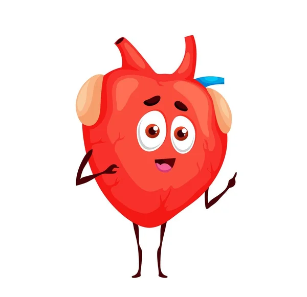 Humain Drôle Dessin Animé Personnage Coeur Anatomie Vectorielle Mascotte Cardiologie — Image vectorielle