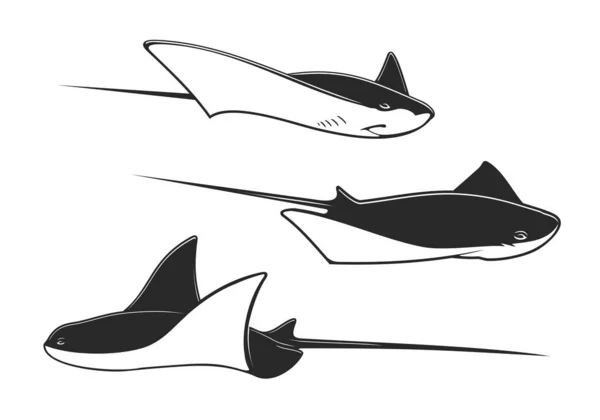 Манта Луч Скат Судорога Подводных Животных Изолированные Морские Морские Векторные — стоковый вектор