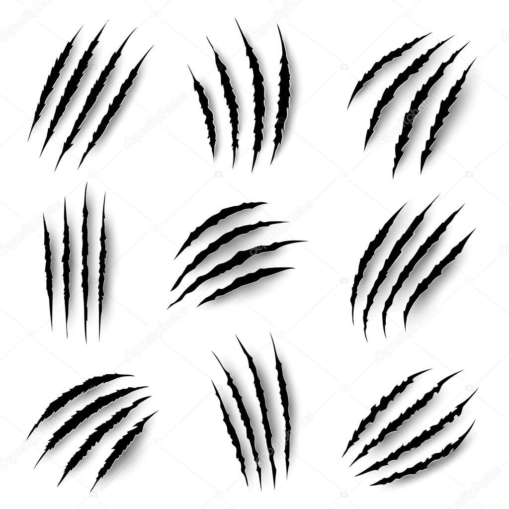 Claws marks, scratches of wild animals, vector nails rips of tiger, bear or cat paw sherds on white background. Lion, monster or beast break, four claws traces, realistic 3d marks texture isolated set