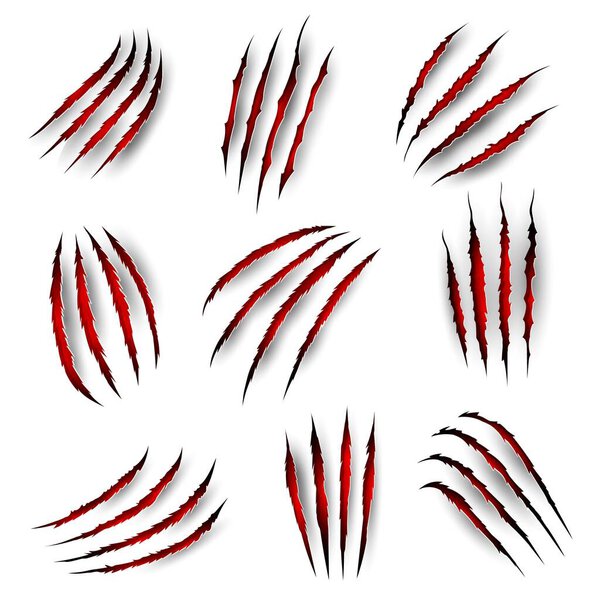 Claw marks with blood scratches of tiger beast or lion and bear, vector wild animal paw slashes. Panther wild cat or monster werewolf claw slashes with red bloody ripped marks and scratch shreds