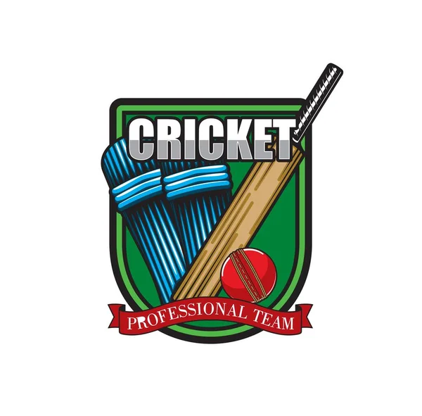 Icono Del Juego Cricket Con Bate Bola Escudos Protección Sobre — Archivo Imágenes Vectoriales