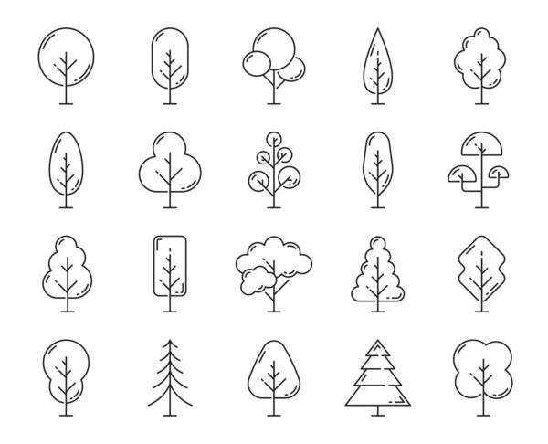 Bäume Und Pflanzen Umreißen Symbole Isolierte Garten Und Parkbäume Dünne — Stockvektor