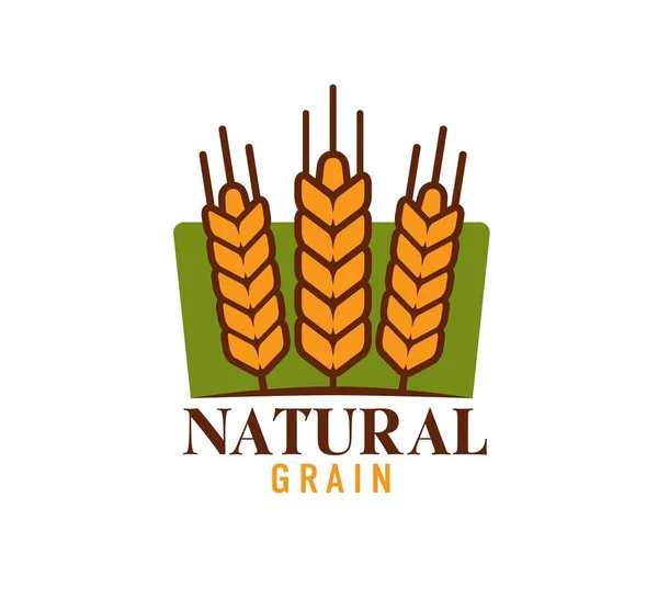 Wheat Farm Logo Rice Oat Barley Millet Cereal Ears Vector — Stock Vector