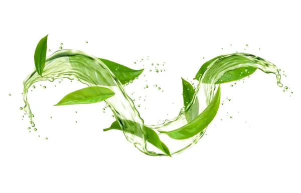 Herbal Tea Drink Wave Splash Green Tea Leaves Water Flow — 스톡 벡터