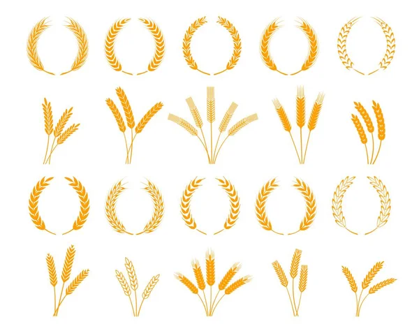 月桂花环 大麦麦穗 米粒图标 小麦谷类食品和农场农业用草本植物月桂花圈中的面包烘焙黄麦茎 — 图库矢量图片