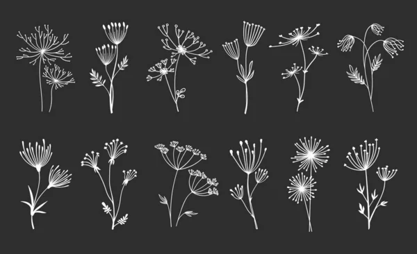 概要花小枝 傘の花や葉 ベクトルライン植物 花の傘の葉と枝 黒の白い線形のシルエット パターンのアウトラインにシダと蕾の春 — ストックベクタ
