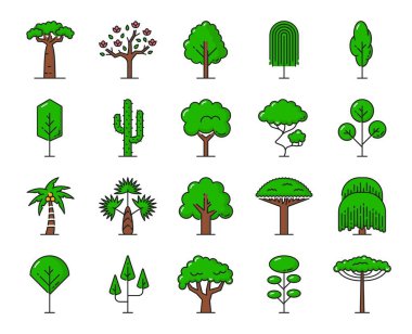 Green tropical trees icons. Beach, jungle forest and park trees isolated vector symbols. Palms garden with oak, baobab and pine or cactus, african rainforest yucca and exotic coconut palm tree