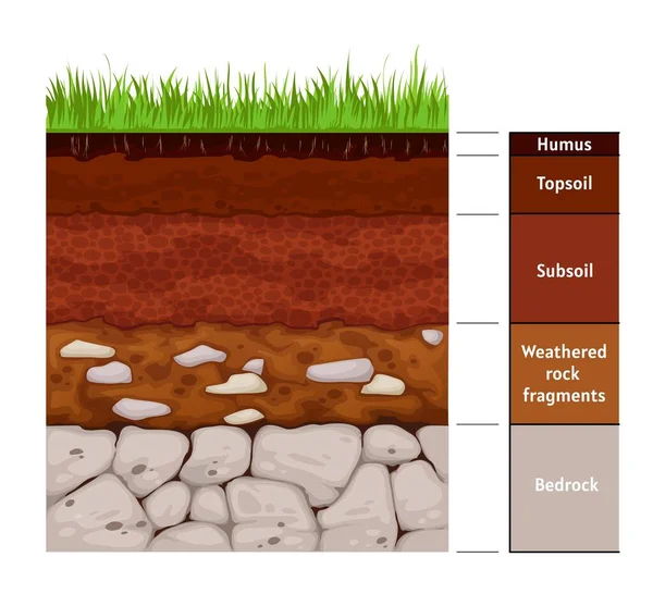 土层信息 土层地质形成基岩 风化岩石碎片 腐殖质 具有土壤截面和地下表面的矢量信息图表 — 图库矢量图片
