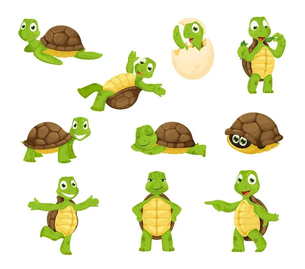 Cartoon Turtle Personage Cute Tortoise Animal Characters Funny Little Vector — Archivo Imágenes Vectoriales