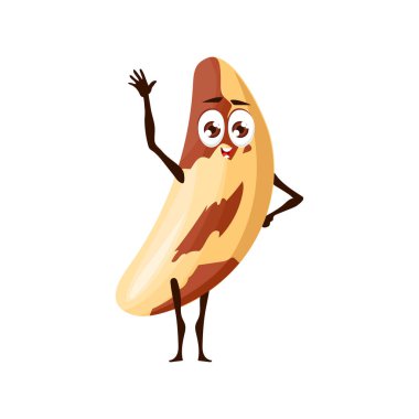 Brezilyalı karikatür manyağı, komik suratlı vektör kişilik. Fındık tohumu veya lezzetli atıştırmalık, kawaii gülüşlü Brezilya fıstığı emojisi. Paket için komik kişilik