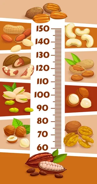 Height Chart Kids Growth Ruler Cartoon Nuts Cocoa Beans Child — Image vectorielle