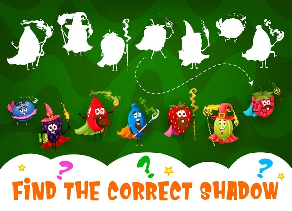 Find Correct Shadow Cartoon Berry Wizard Mage Fairy Characters Shadow — Vector de stock