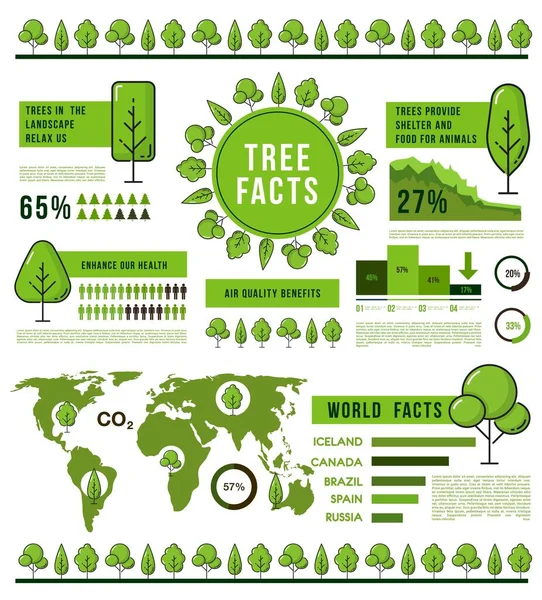 Waldbäume Infografiken Öko Natur Und Weltökologie Oder Pflanzen Vektorinformationstabellen Waldbäume — Stockvektor