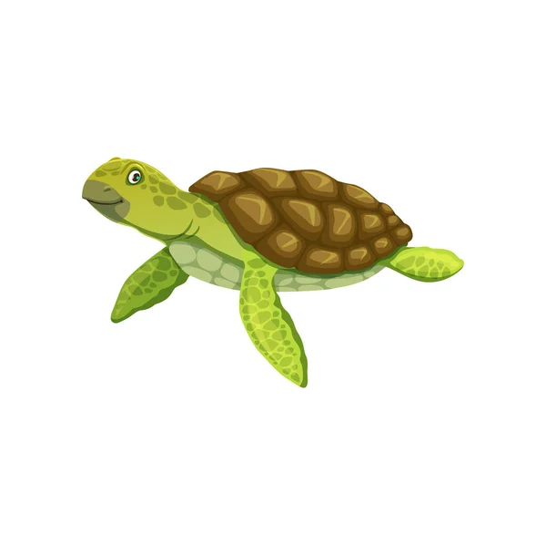 卡通龟形象 可爱的矢量龟形象与绿色皮肤 鳍鱼和褐色外壳 有趣的小乌龟 孤独友善的水生爬行动物 — 图库矢量图片