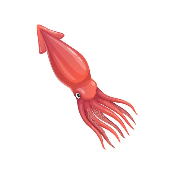 Cartoon Squid Vector Calamari Mollusk Underwater Animal Sea Creature Invertebrate — Stock Vector