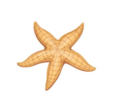 Çizgi film deniz yıldızı su altı hayvanı, bej deride çizgili deseni olan izole vektör yıldız balığı. Deniz omurgasız yaratığı, deniz ve okyanus vahşi yaşamı