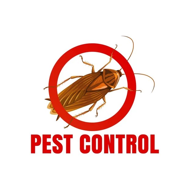 Εικονίδιο Ελέγχου Παρασίτων Κατσαρίδα Bugs Και Έντομα Εξόντωση Υπηρεσία Διάνυσμα — Διανυσματικό Αρχείο