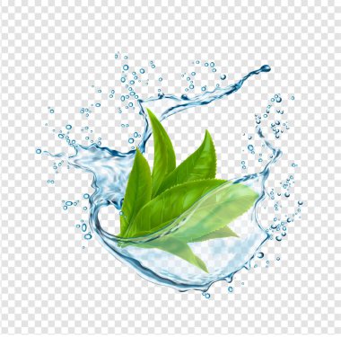 Su sıçramalı yeşil çay yaprakları, bitkisel içecek dalgası akışı, gerçekçi 3 boyutlu vektör. Yeşil çay yaprağı ve şeffaf arka planda ıssız su sızıntısı. Buzlu çay taze içecek veya damla damla limonata için.