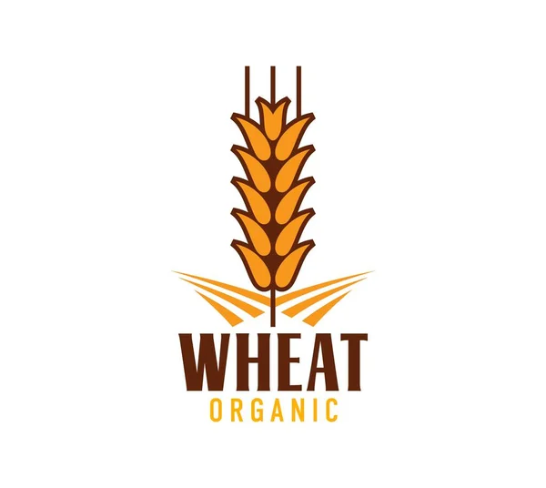 Знак Пшеницы Риса Овсяного Ячменя Проса Зерновых Ушей Органические Продукты — стоковый вектор