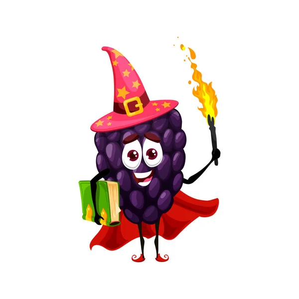 Cartoon Blackberry Bramble Magician Wizard Character Torch Funny Vector Berry — Stock Vector