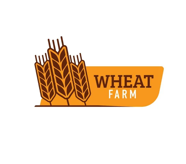 Wheat Farm Rice Oat Barley Millet Cereal Ear Vector Organic — Stock Vector