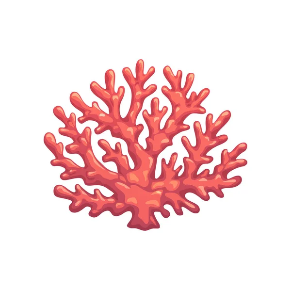 卡通水下珊瑚植物分枝 孤立的矢量海礁对象具外生长期 海底热带水生物 海洋珊瑚 海洋植物区系隔离生物多样性设计要素 — 图库矢量图片