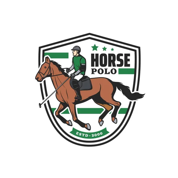 Horse Polo Sport Icon Player Stallion Equestrian Sport Game Tournament — Stock Vector