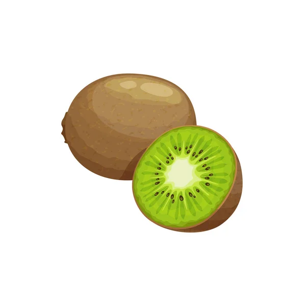 Kiwi Fruit Fresh Tropical Plant Vector Kiwifruit Cartoon Chinese Gooseberry — Vetor de Stock