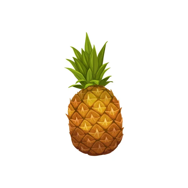 Pineapple Fruit Vector Fresh Tropical Plant Juicy Whole Unpeeled Exotic — Vetor de Stock