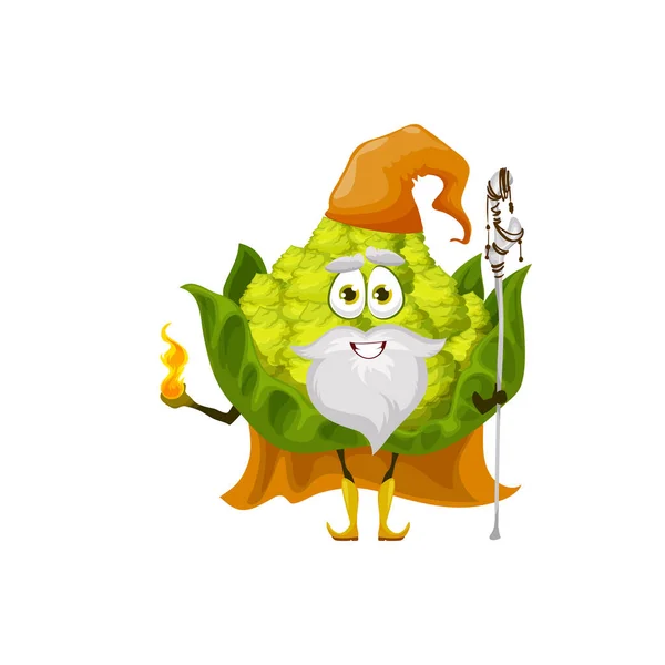 Mago Vegetal Romanesco Coliflor Bruja Personaje Dibujos Animados Hadas Mago — Archivo Imágenes Vectoriales