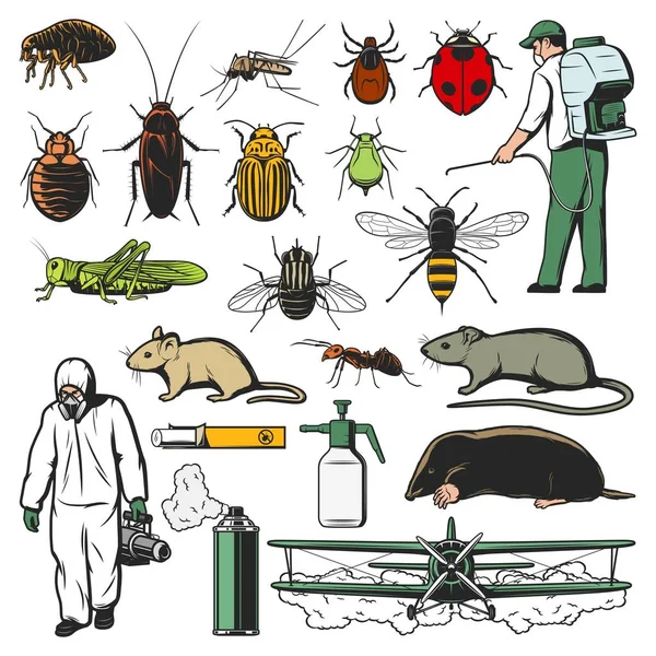 Pests control workers, insects and animals sketch icons. Exterminator in hazmat suit, spraying pesticides plane and man, flea, bedbug and cockroach, mosquito, fly and tick, locust, rat and mole, ant