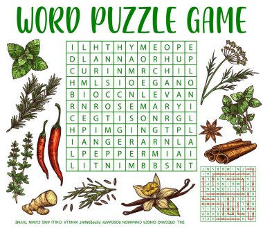 Bitkiler, baharatlar ve baharatlar eskizi, kelime araması yapboz çalışma çizelgesi, vektör test ızgarası. Baharat ve şifalı bitkiler, vanilya ya da nane içeren acı biber, anason ya da kimyon içeren kelime bilmecesi ya da oyun şebekesi bul
