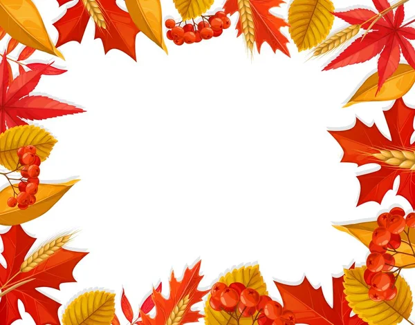Осенняя Рама Листьями Ягодами Пшеницей Векторная Осенняя Граница Красочными Красными — стоковый вектор