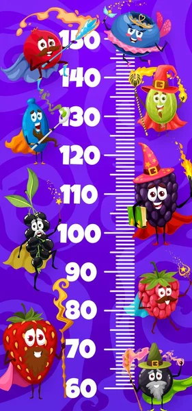 Cartoon Funny Wizards Fairy Berries Characters Kids Height Chart Ruler — стоковый вектор