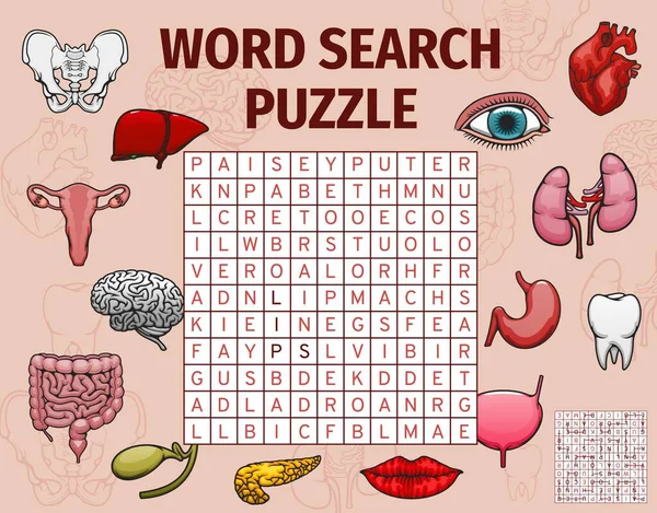 Human Organs Body Parts Word Search Puzzle Game Worksheet Vector — стоковый вектор