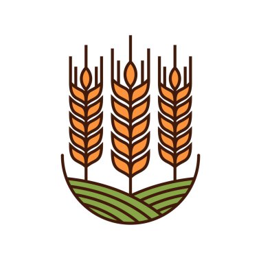 Mısır gevreği, buğday, arpa, çavdar darı ve pirinç başağı simgesi, tarıma elverişli tarla amblemi. Çavdar ekmeği, un, tahıl ve tahıl gıda sembolü veya yeşil tarlada yulaf ve pirinç başakları.