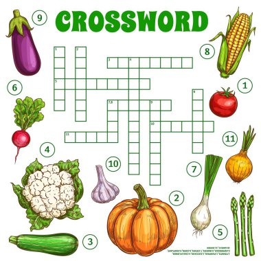 Raw sketch vegetables. Crossword grid worksheet. Find a word quiz game, vector text riddle or kids vocabulary quiz with eggplant, radish and cauliflower, zucchini, corn and tomato, onion and asparagus