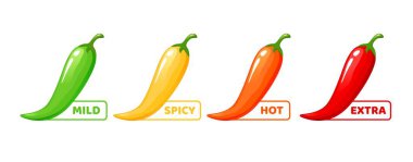 Spicy level label. Ketchup, hot spice or meal spicy scale with green, yellow, orange and red chili peppers. Tabasco sauce taste rating or jalapeno pepper capsaicin level indicator vector label