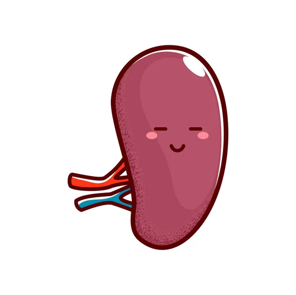 One Smiling Kidney Happy Healthy Human Organ Funny Cartoon Character — Vetor de Stock