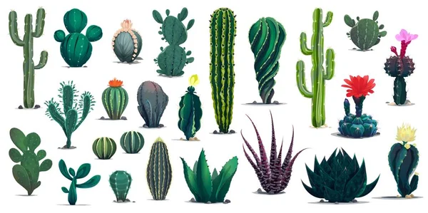 84 Ilustrações de Cactus Mix - Getty Images