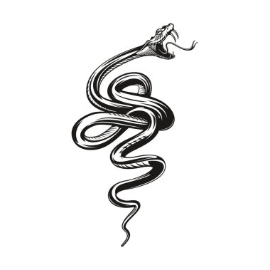 Snake tattoo, angry black viper or serpent, vector rock or biker club mascot. Angry snake bite with fangs, viper or anaconda serpent in angry attack for tattoo