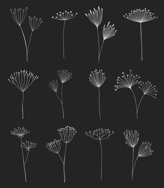 Outline Floral Twigs Sprigs Umbrella Flowers Field Herbs Dill Fennel — Stockvector