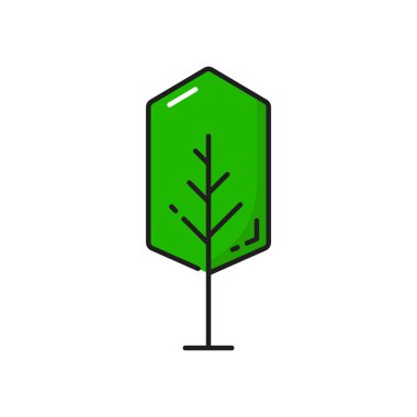 Tree icon of forest green plant and nature, tree with branches, vector line symbol. Flat isolated oak or fir tree icon for park landscape or garden and eco environment
