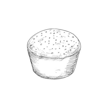 Bread with caraway seeds, round loaf drawn sketch. Vector rye round bread, pastry loaf