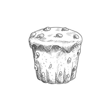 Muffin with raisins isolated sweet bakery sketch. Vector cupcake with pieces of chocolates, pastry food