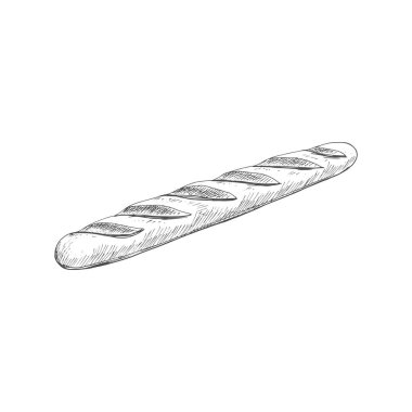 French baguette isolated oblong shape bun sketch. Vector bakery product, wheat bread, pastry food